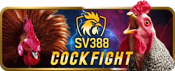 Cá cược bóng đá TA888